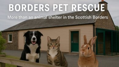 Borders Pet Rescue