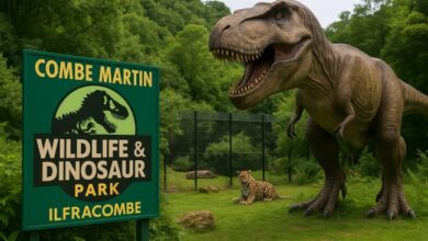 Combe Martin Wildlife and Dinosaur Park