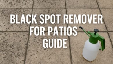 black spot removers