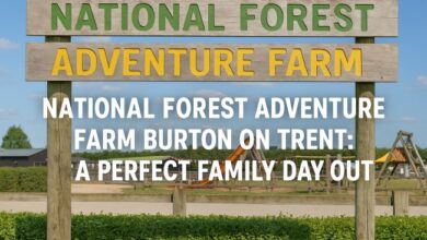 national forest adventure