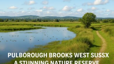 pulborough brooks