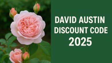 David Austin discount code
