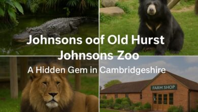 Johnsons of