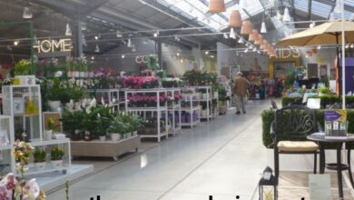 percy throwers gardening centre​