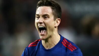 ander herrera spain​