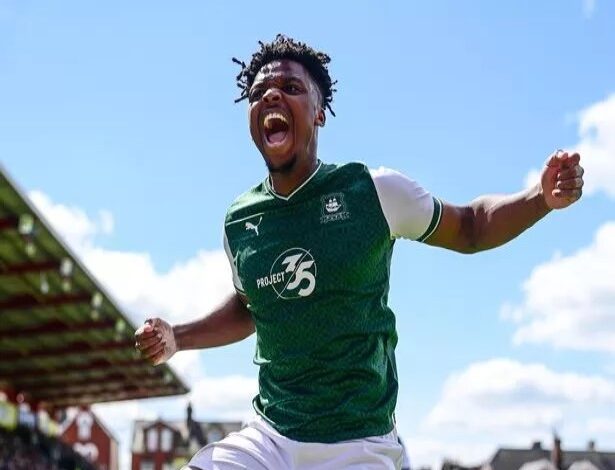 niall ennis